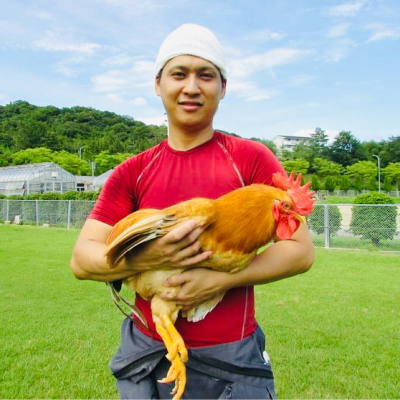 広大鶏と東広島こい地鶏についての解説 ひろだいどり ひがしひろしまこいじどり 広島クチコミ情報局 食記ドットコム