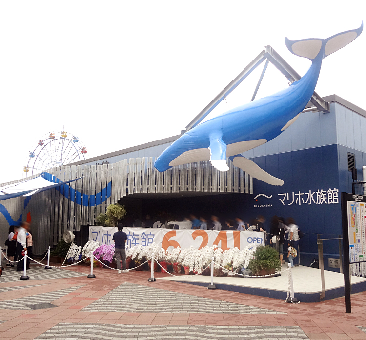 マリホ水族館　名物スイーツのチンアナゴソフトは絶対食べたい　広島市西区観音マリーナホップ空海館