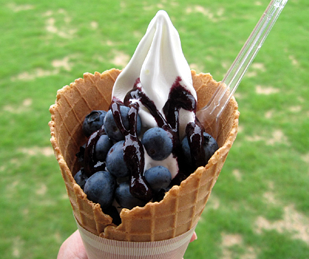 あさむらいちご園　夏は自家栽培の生ブルーベリーのソフトクリームがめちゃウマ　ドライブにおすすめ　山口市徳地 防府市